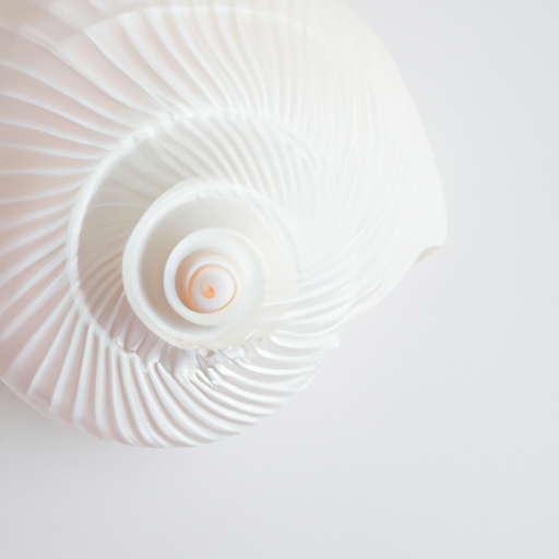 An article to help you understand what a shell is