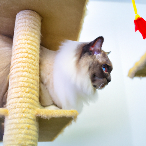 What important industry-related patents does the Ragdoll Cat Climbing Frame contain?